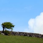 The Burren Way