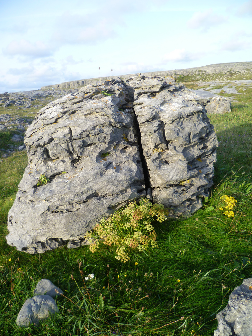 the Burren2
