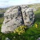 the Burren2