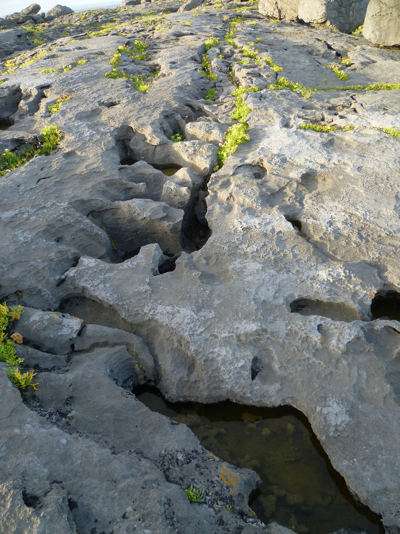 the Burren5