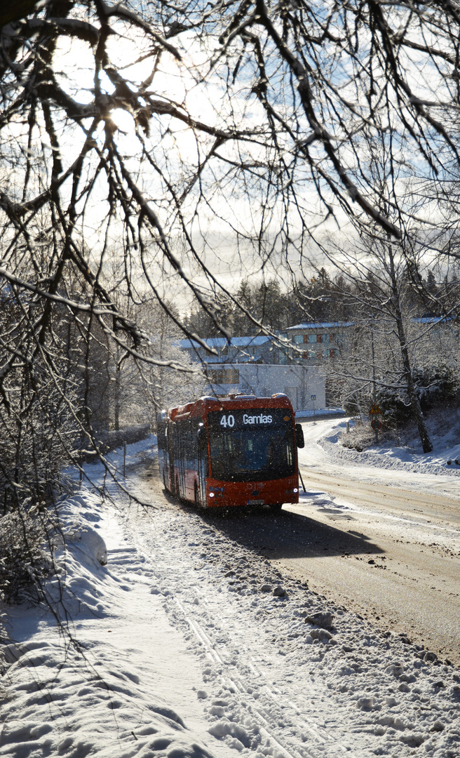 The bus line 40