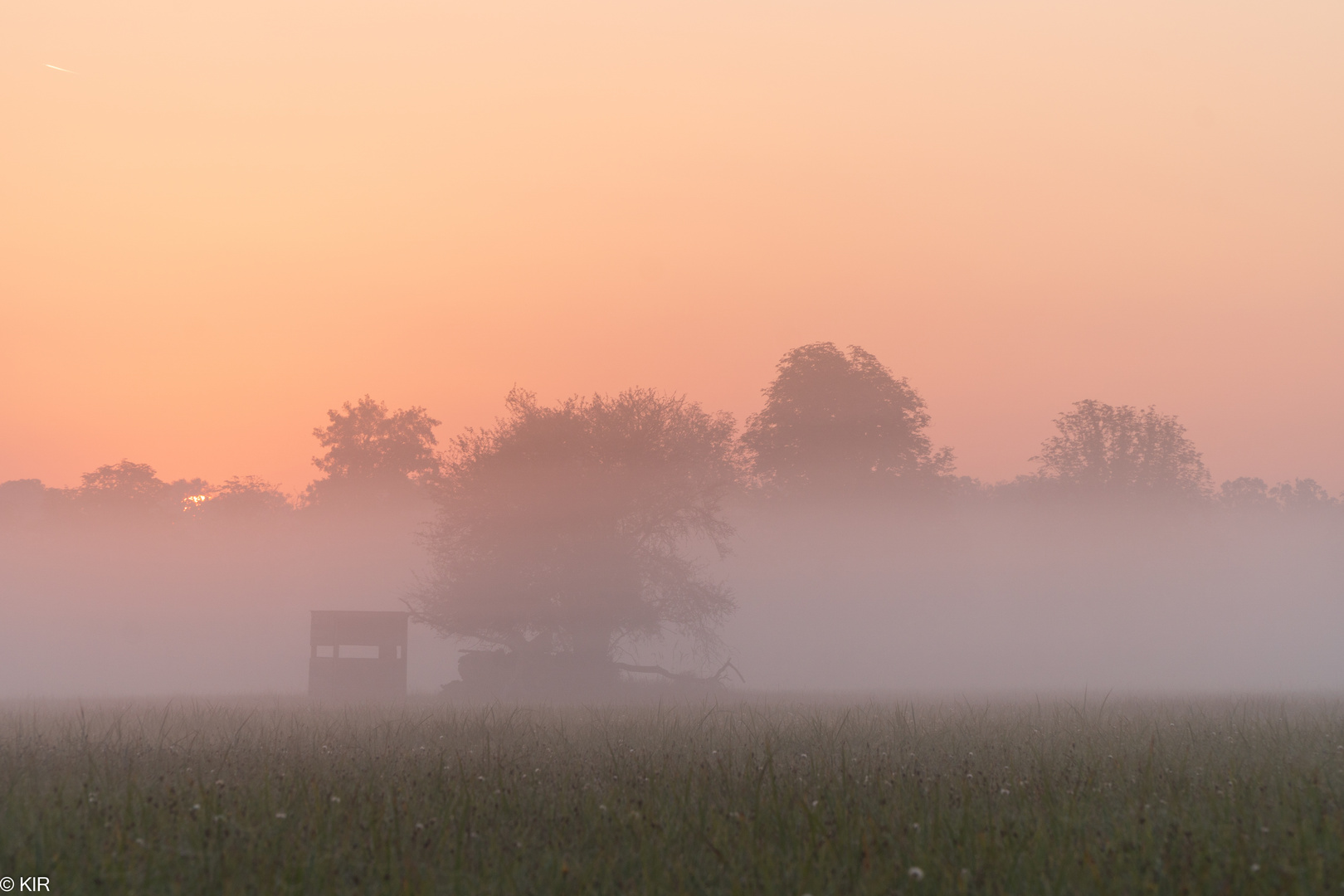 the cabin at dawn