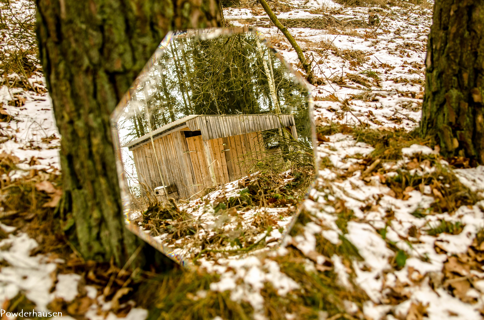 The cabin in the woods