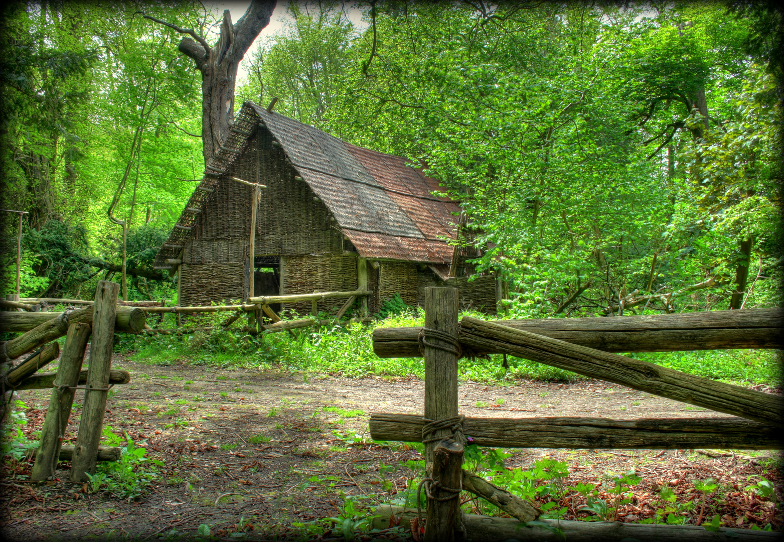 The Cabin in the Woods