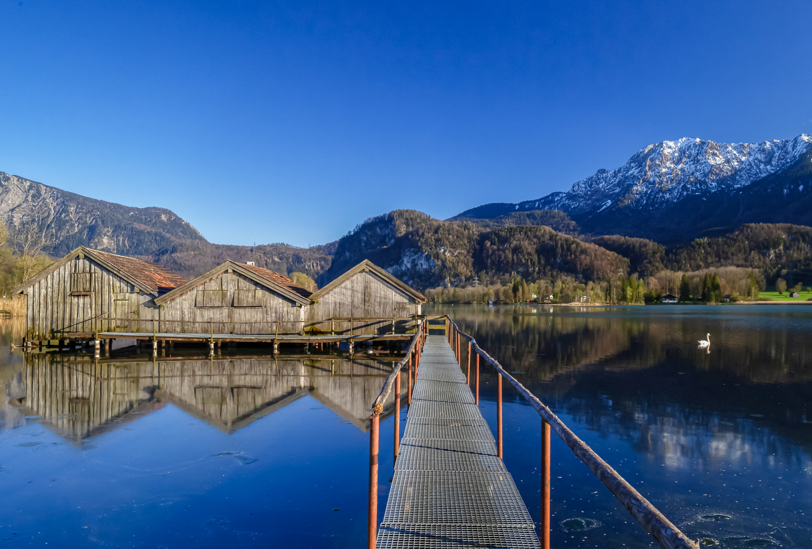 The Cabins 