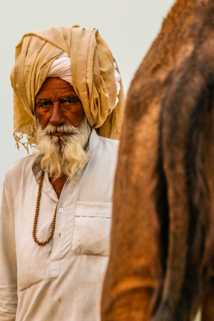 the camel man, Pushkar Camel Fair