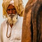 the camel man, Pushkar Camel Fair