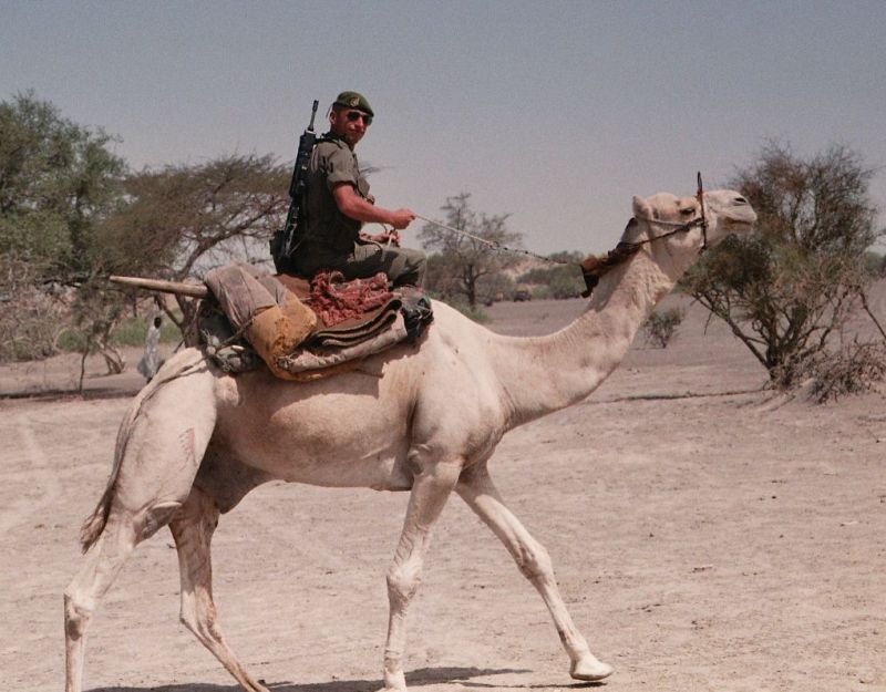 The Camel rider