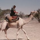 The Camel rider