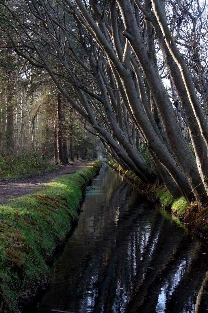 The Canal