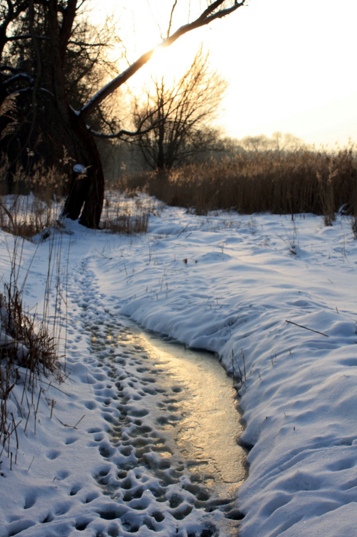 the canal