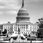 The Capitol Building, WASHINGTON DC