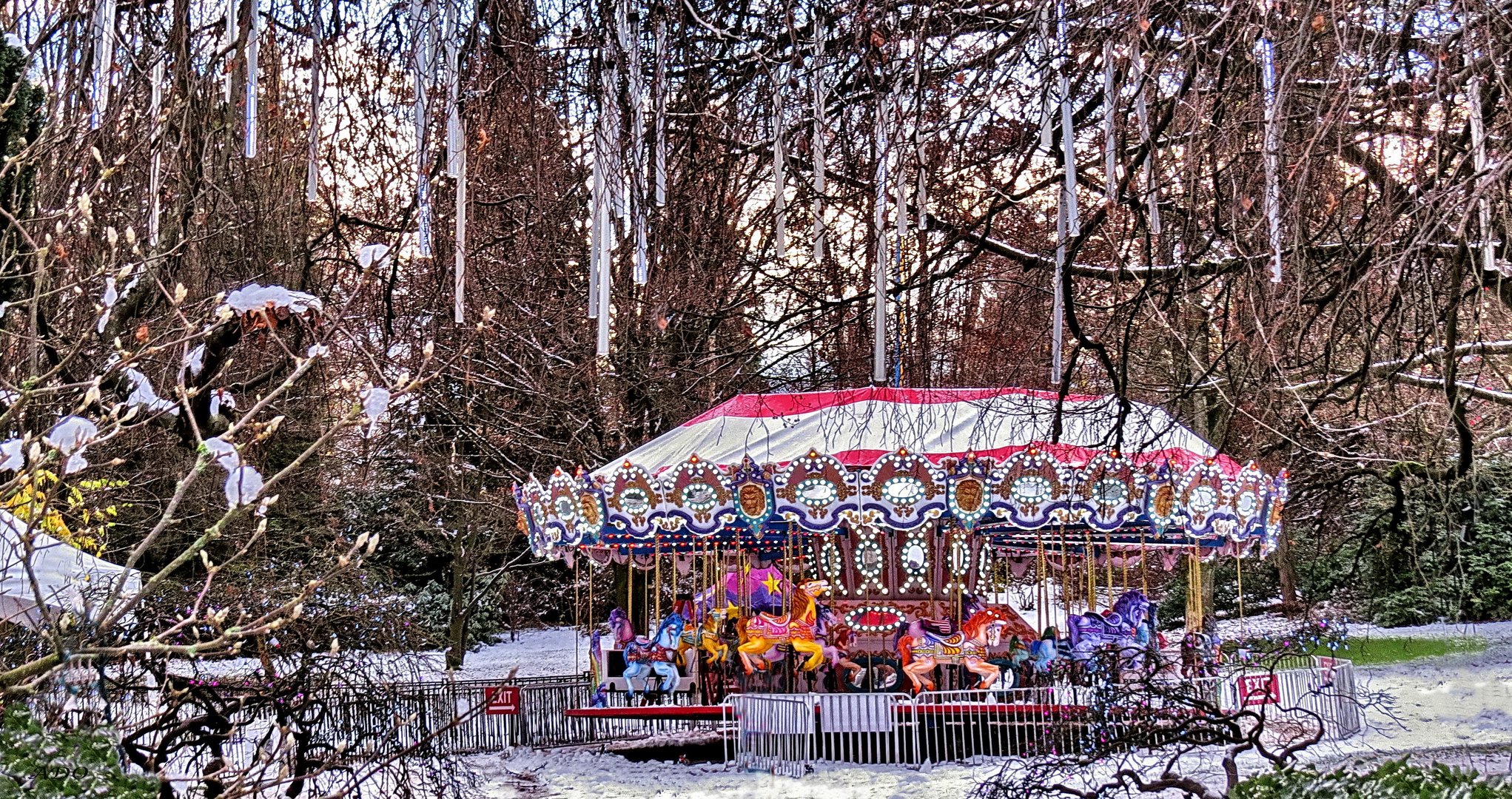 The Carousel 