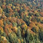 The Carpathians Montains in autumn