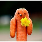 . the carrotking .