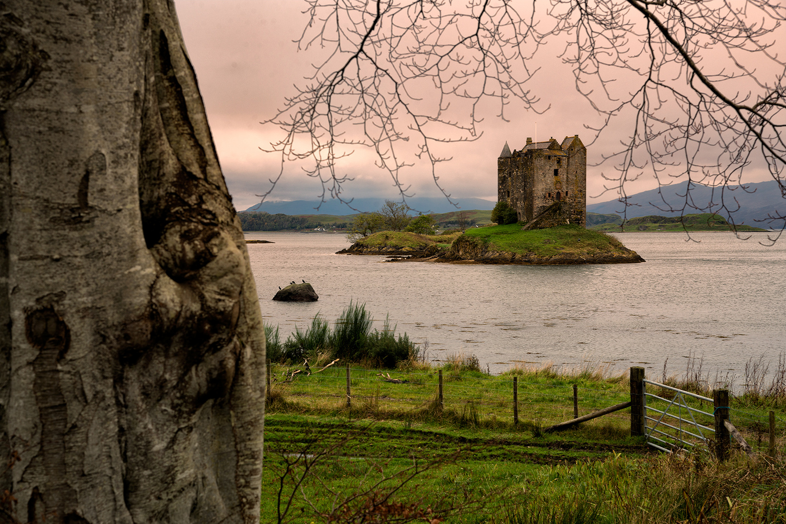 the castle at the lake