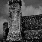 The castle from MONTALCINO