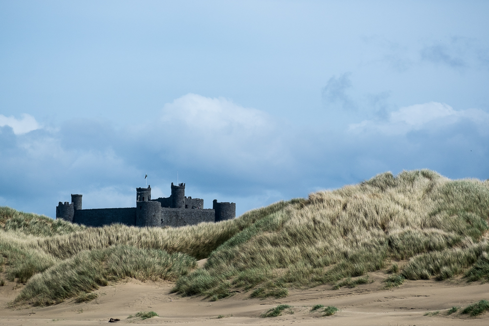 The castle in the dune