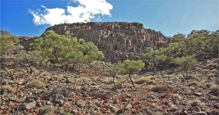 * The Castle / Ives Station SA *