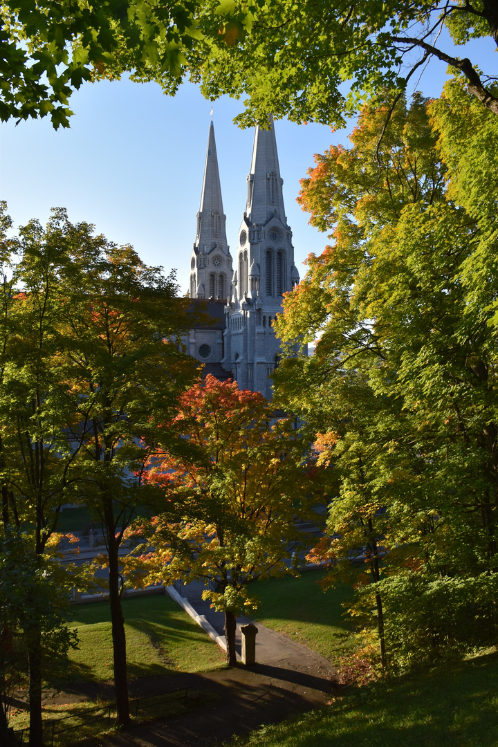 The Cathedral Park in Autumn