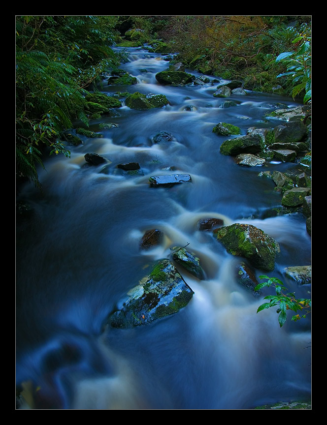 The Catlins