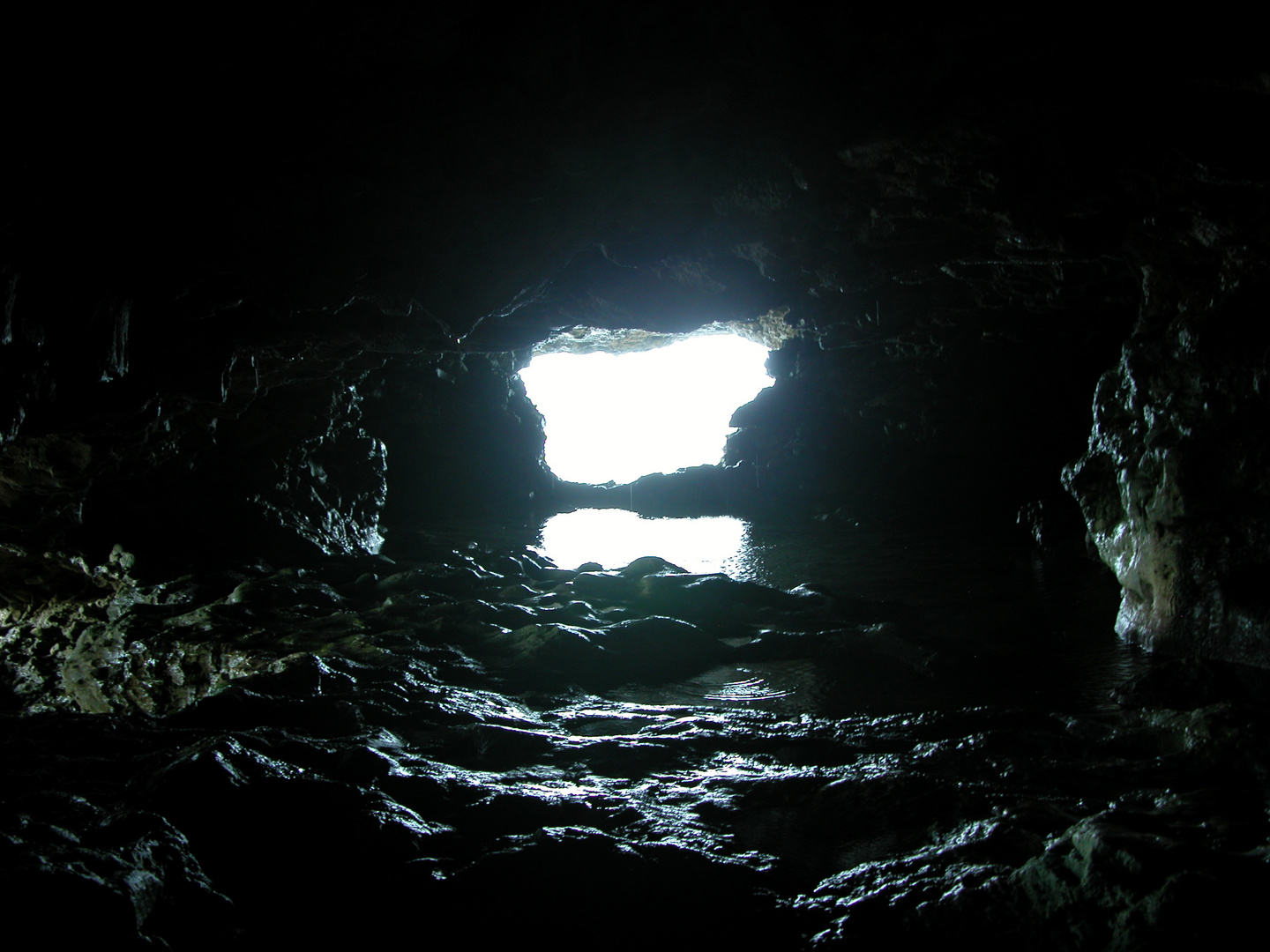 the Cave