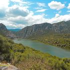 The Cedrino River