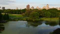 The Central Park