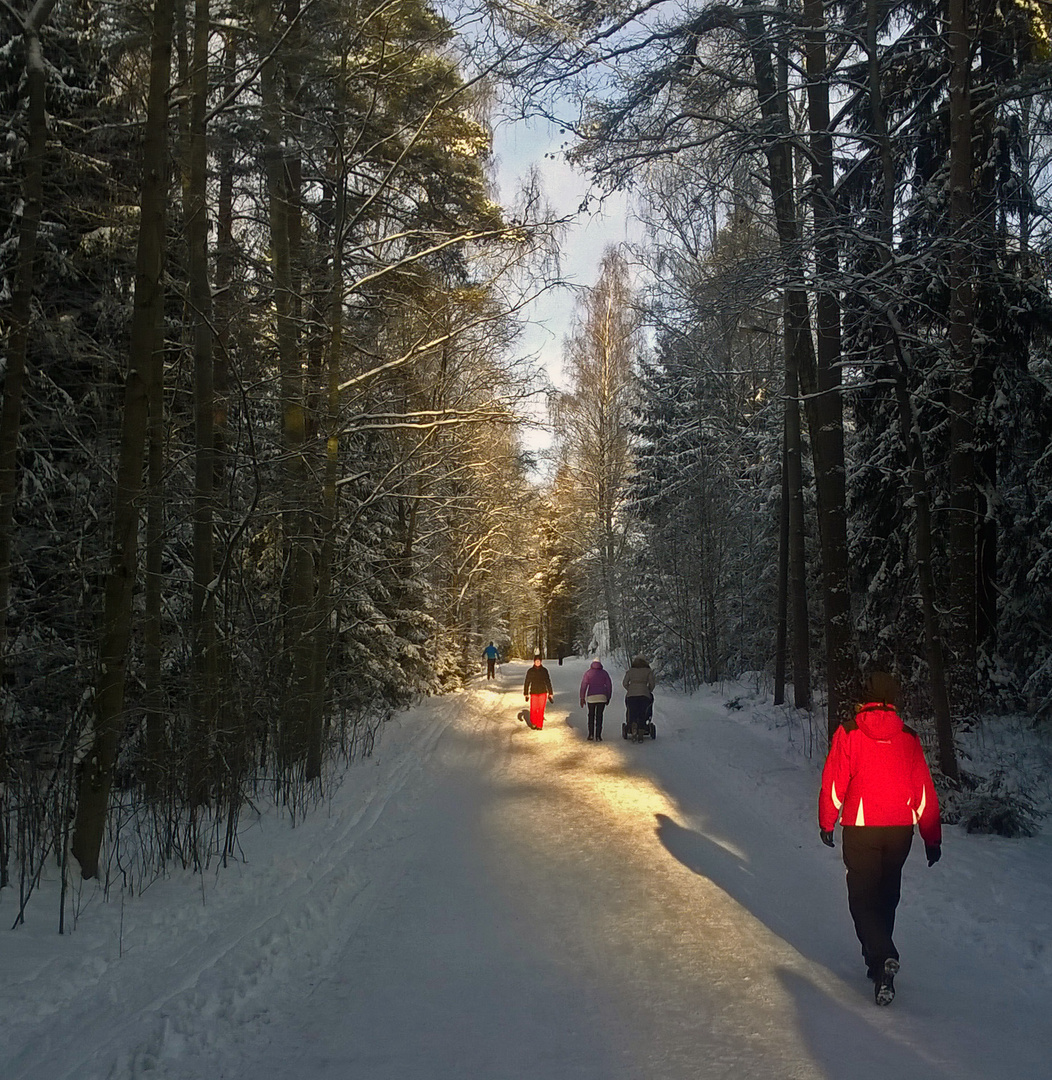 The central park of Helsinki