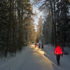 The central park of Helsinki