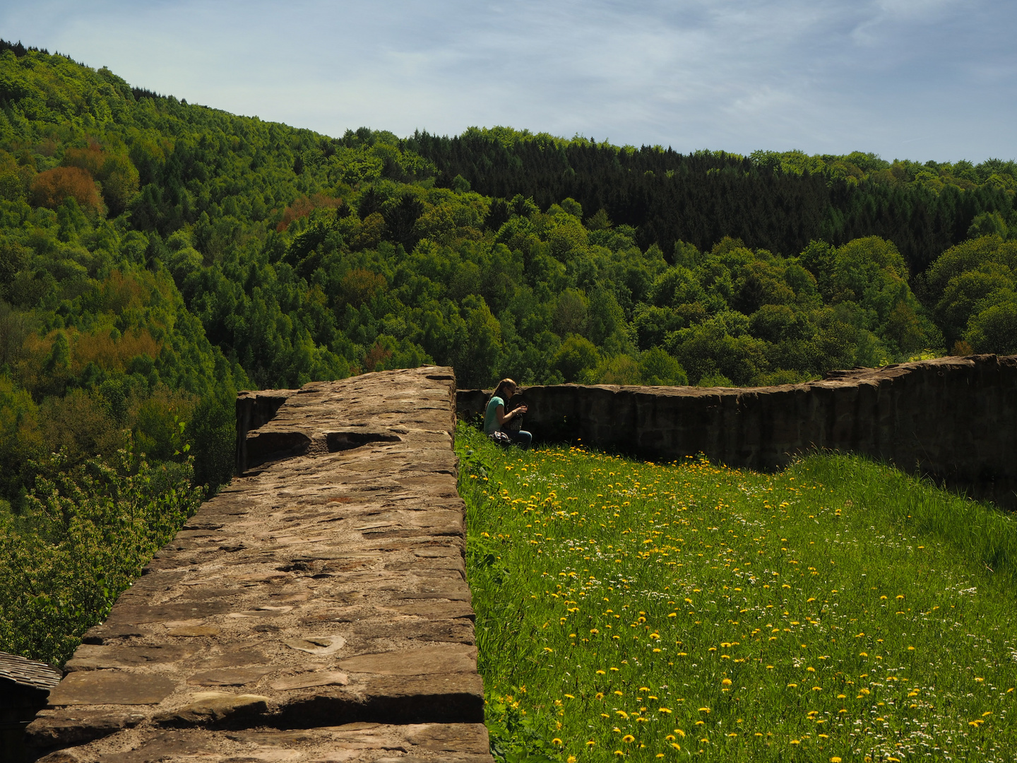 The Chambermaid of Burg Hanstein