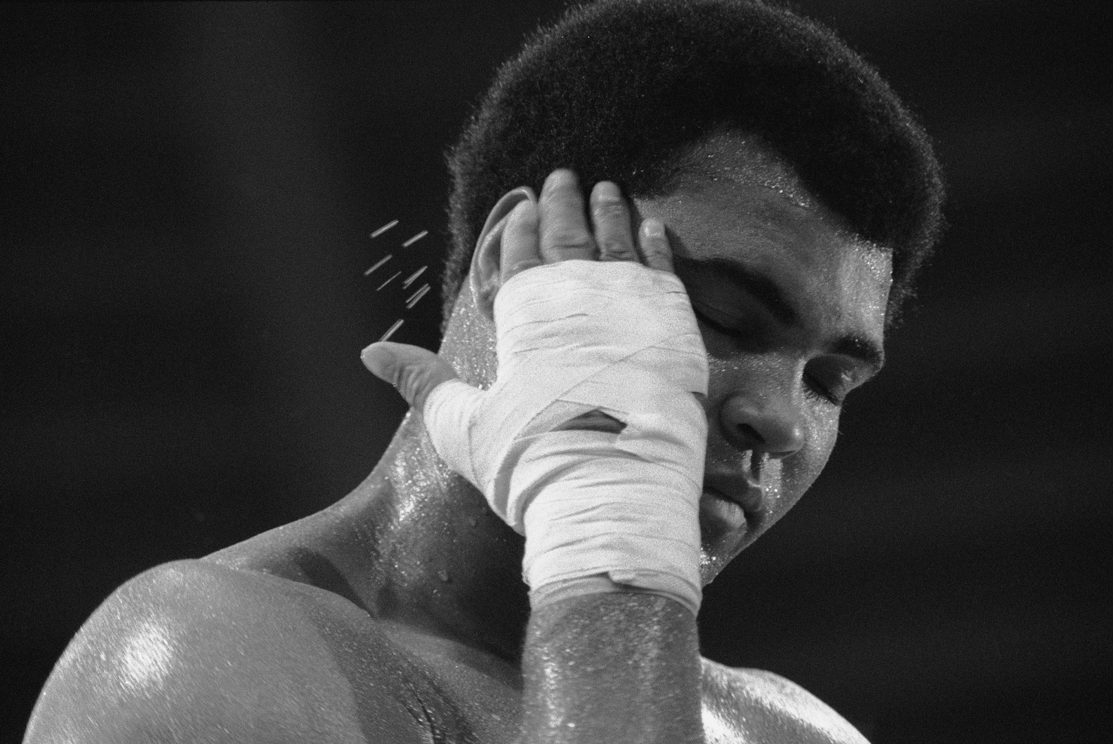 The Champ M.Ali 1976