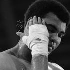 The Champ M.Ali 1976