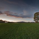 the chapel beside the big tree