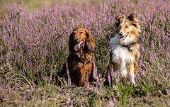 The charming girl and boy