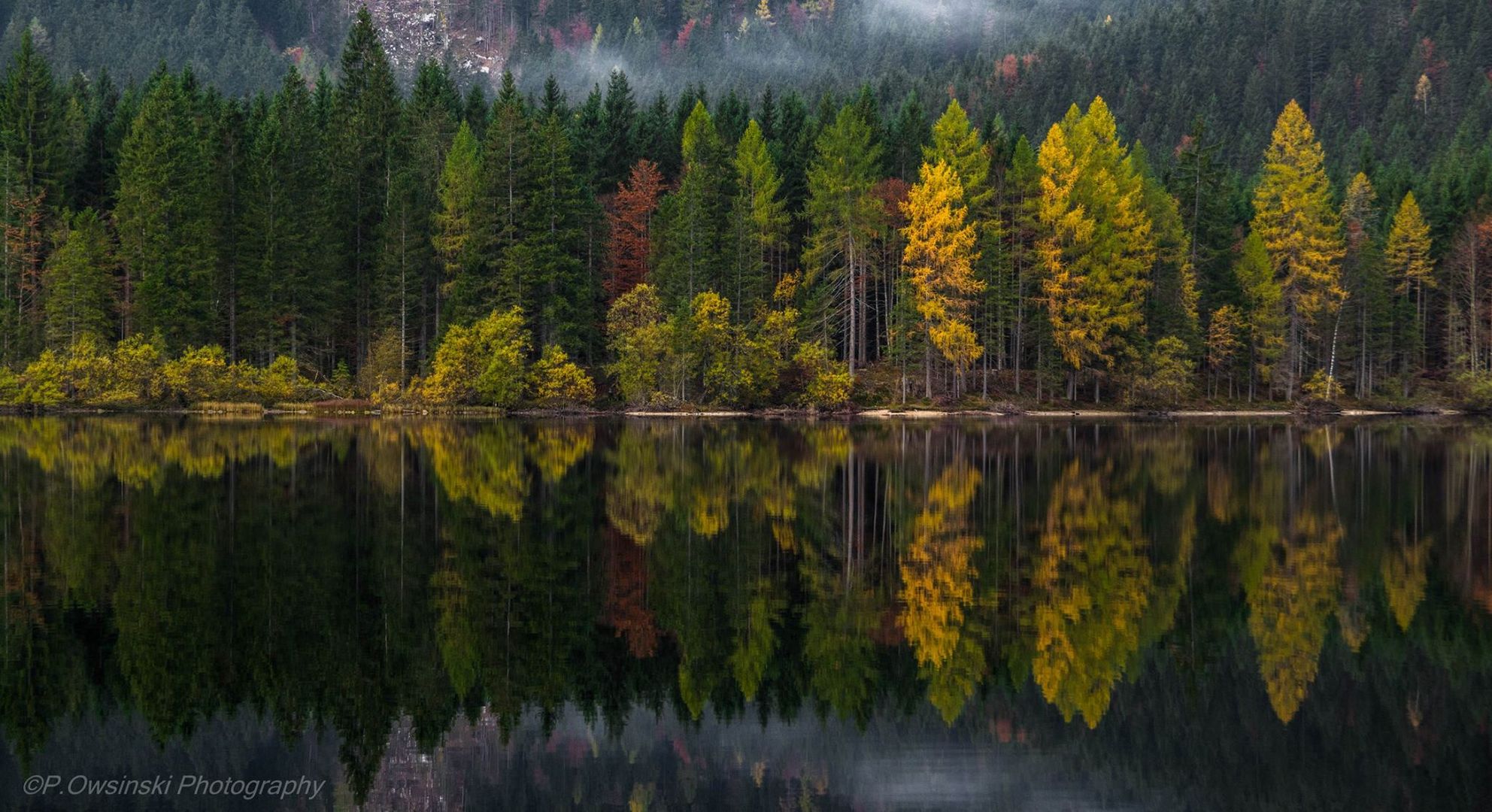 The chemistry of autumn-Ödensee /Steiermark