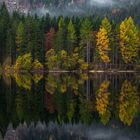 The chemistry of autumn-Ödensee /Steiermark