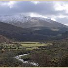 the Cheviot from the College valley 2