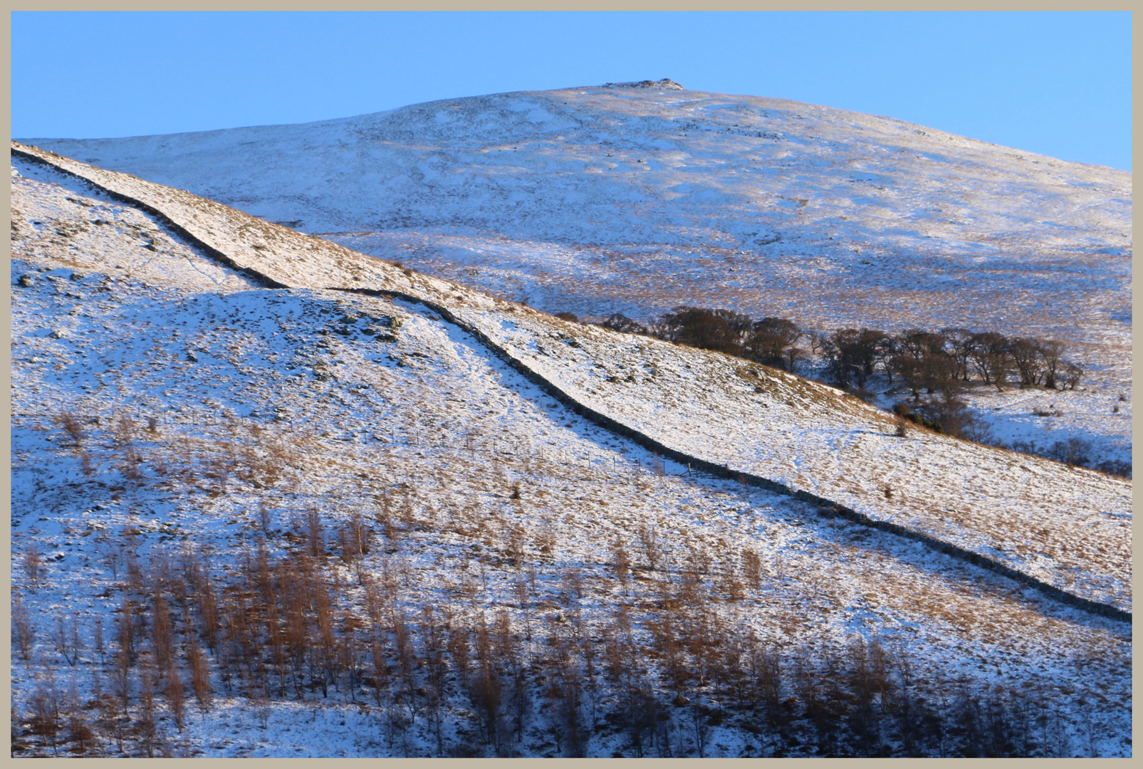 the Cheviot from the college valley