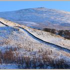 the Cheviot from the college valley