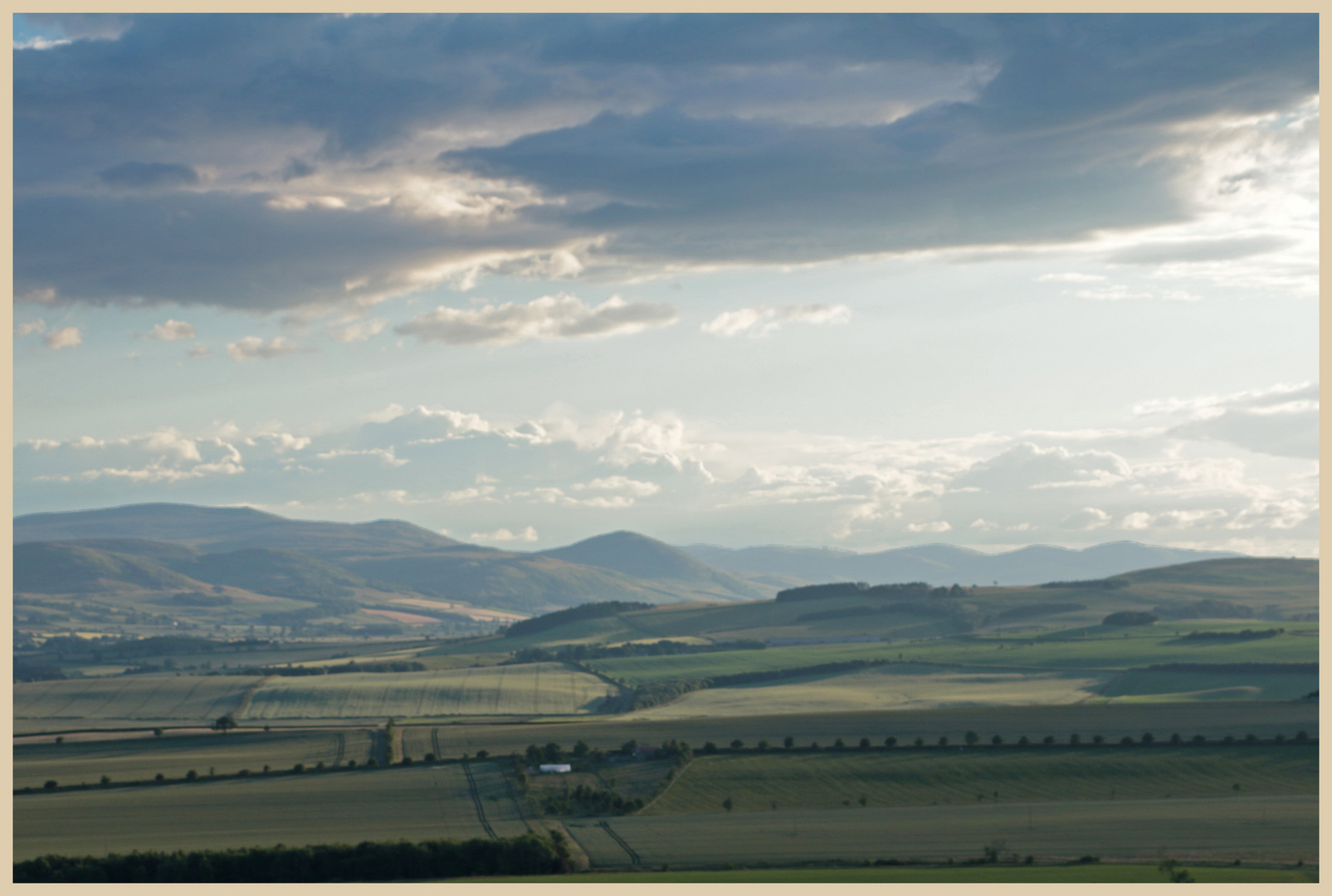 the cheviots from Lyham Hill 5