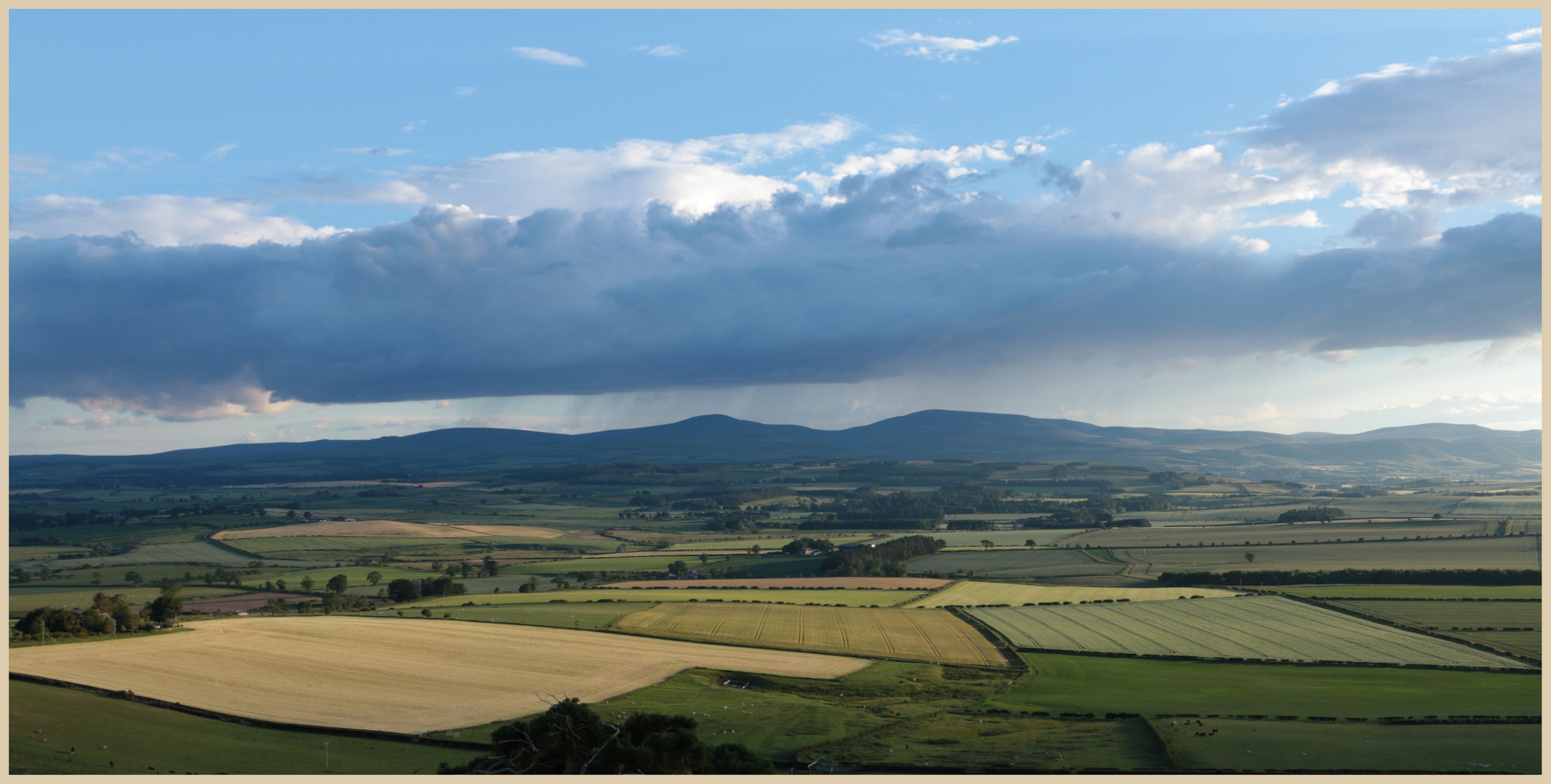 the cheviots from Lyham Hill