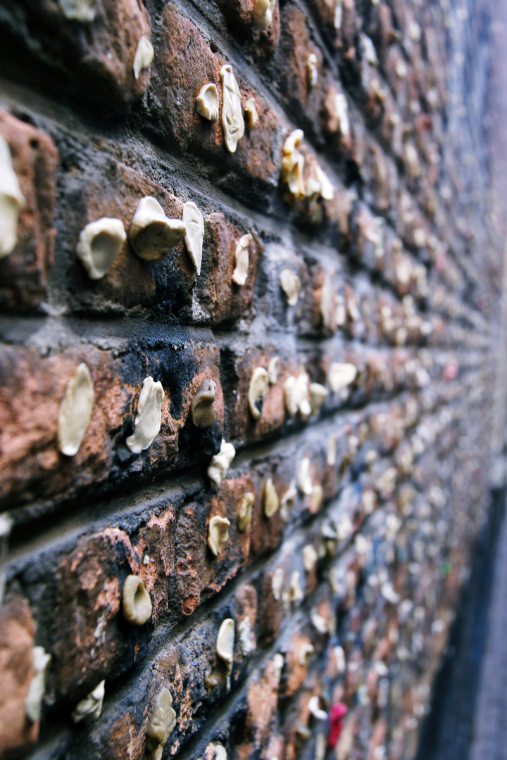 the chewing gum wall