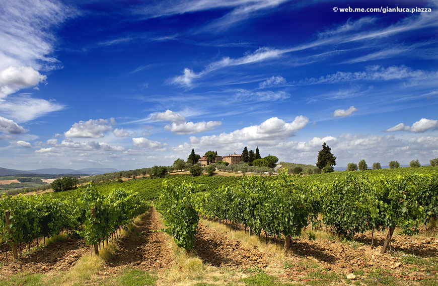 The Chianti area