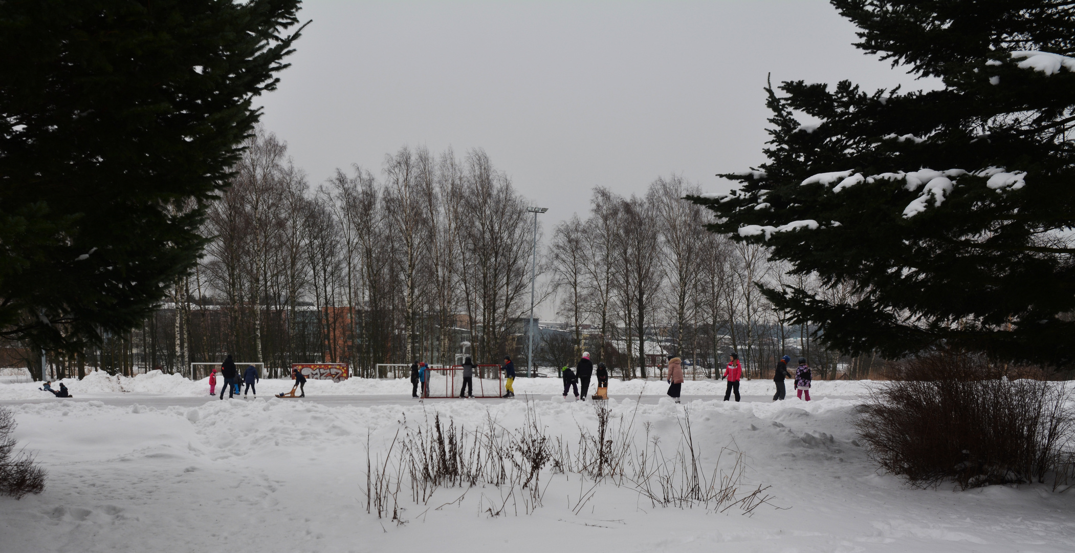 The children on ice