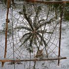 The childrens made art in the centralpark of Helsinki