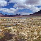 The Chilean Altiplano