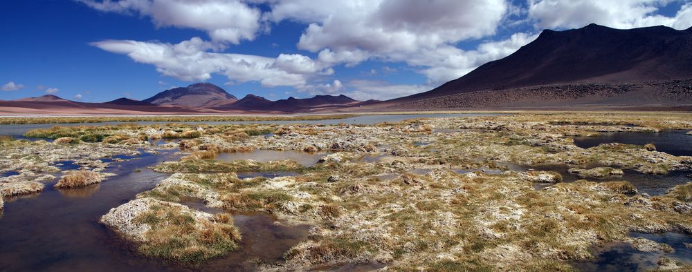 The Chilean Altiplano