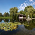 The Chinese Pavillion 