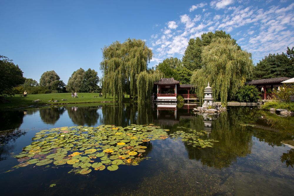 The Chinese Pavillion 